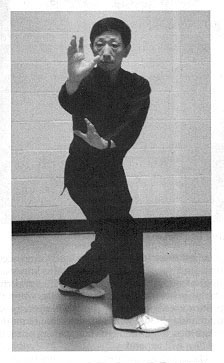 dragon stance