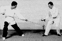 Master Park With Spear