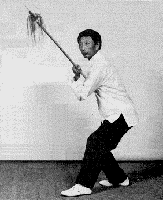 Master Park With Spear